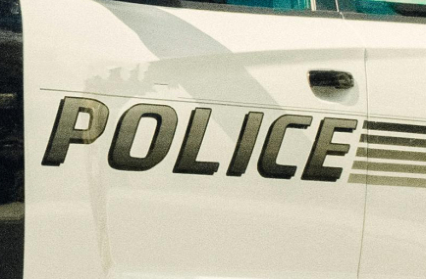 test article 3 Cops Concept