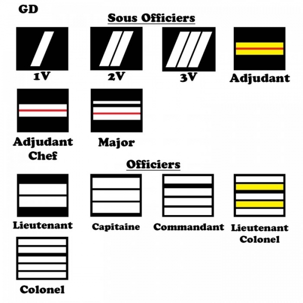 PORTE CARTE MEDAILLE GENDARMERIE DEPARTEMENTALE + GRADE - 2 VOLETS