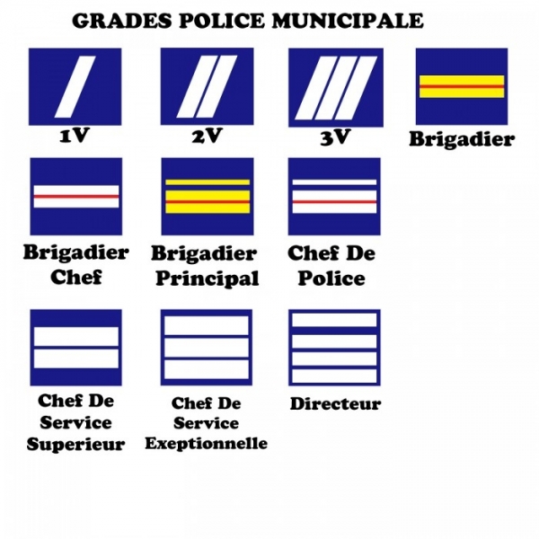 PORTE CARTE MEDAILLE POLICE MUNICIPALE + GRADE 3 VOLETS GRANDE CARTE