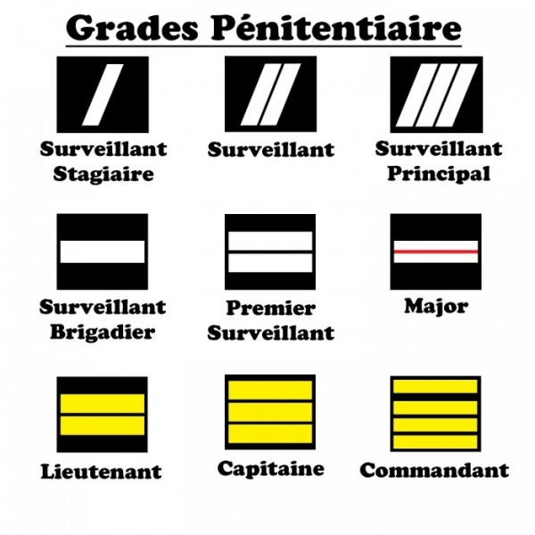 PORTE CARTE TOUR DE COU MEDAILLE ADMINISTRATION PENITENTIAIRE + GRADE
