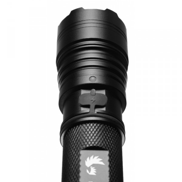 Torche Rechargeable Falcon 260 lumens